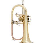 Bach FH600 Flugel Horn