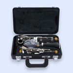 Yamaha YCL-250 Clarinet