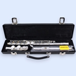 Gemeinhardt 2SP Flute