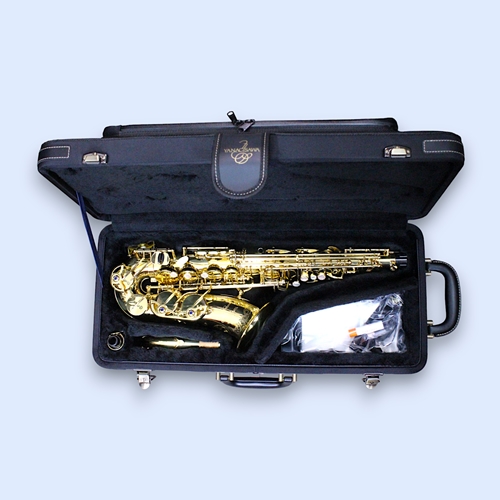 Yanagisawa aw010 hotsell