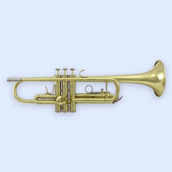 1076-TR300-C39333_1.jpg